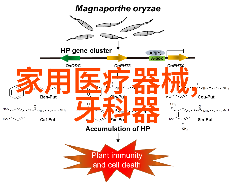 关键词你需要知道的一切